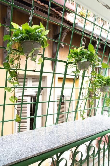 Căn hộ Holly Hideaway-cozy Nest -balcony- Center Hà Nội